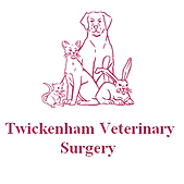 Twickenham Vetinary Surgery - Twickenham. NJC building consultants provided: house renovation - office refurbishment